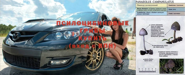 2c-b Абдулино