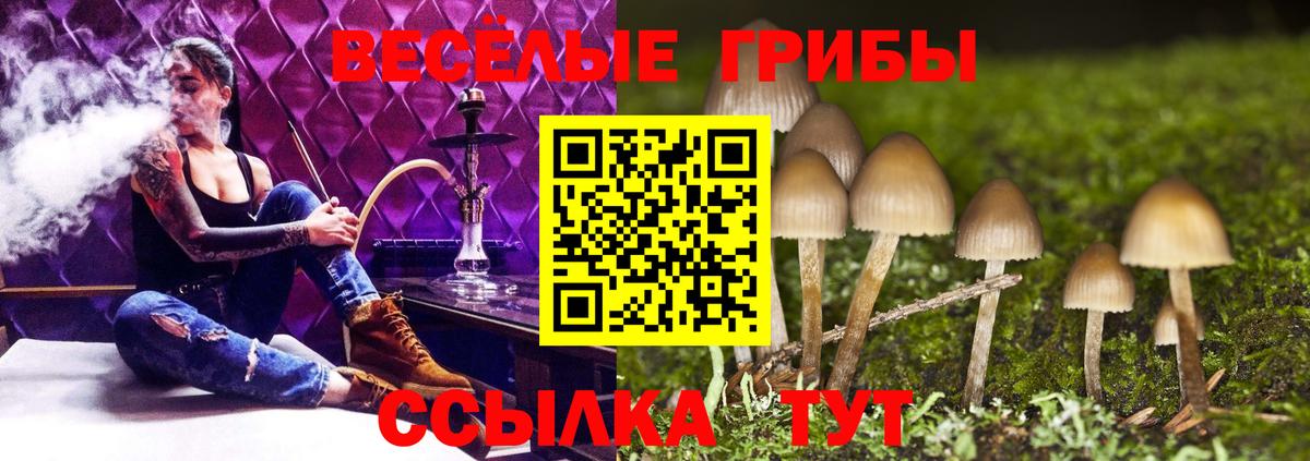 наркошоп  Вход с VPN  Нягань  Галлюциногенные грибы Cubensis 