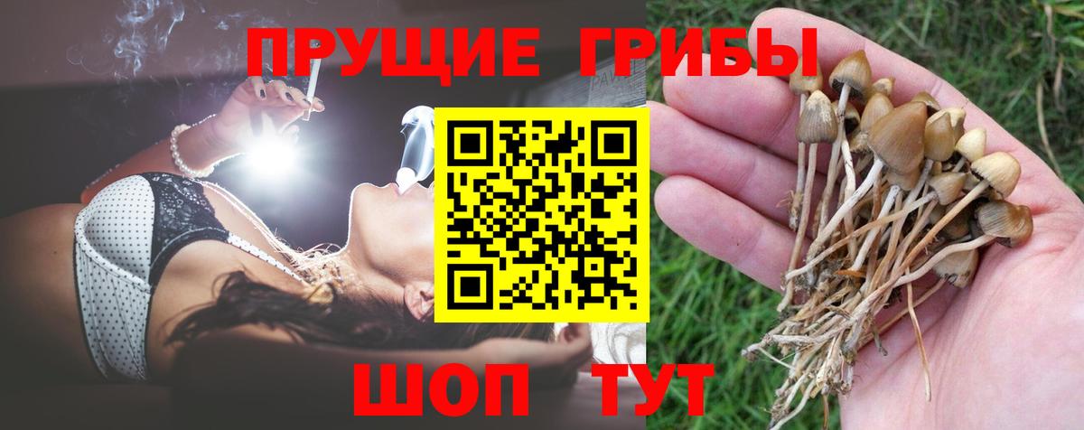 Псилоцибиновые грибы прущие грибы Нягань